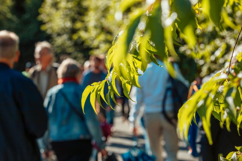ihmisiä kävelemäss aurinkoisessa puistossa vihreiden lehtien lomassa
